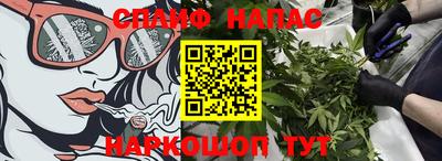крисы Малгобек