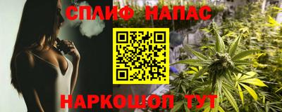 крисы Малгобек