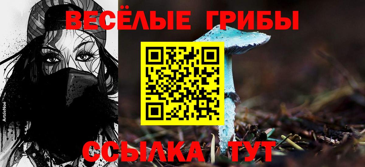 Псилоцибиновые грибы мицелий  Вход с VPN  Бузулук 